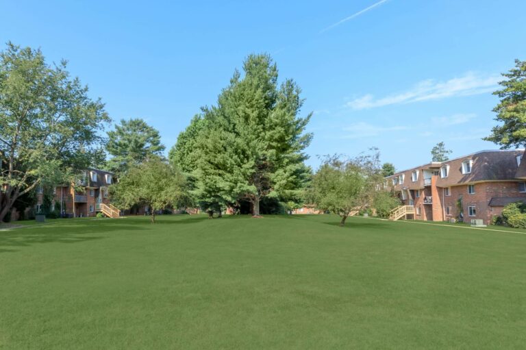 Photos of Apartments & Amenities Dover Estates